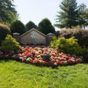 landscaping