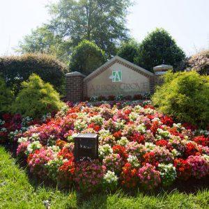 landscaping