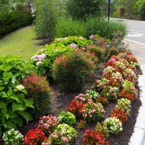 grounds management at ladysmith