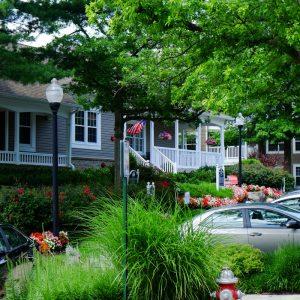 grounds management at kingstowne
